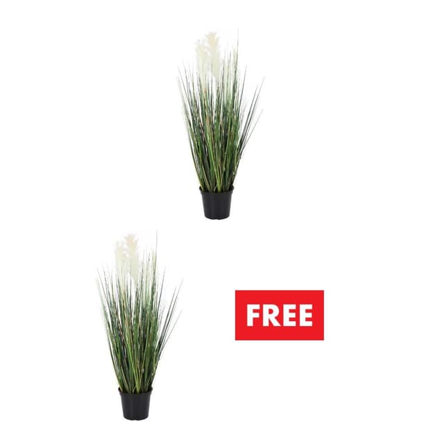 ซื้อต้นหญ้าในกระถาง แถมฟรี! ต้นหญ้าในกระถาง (คละแบบได้)