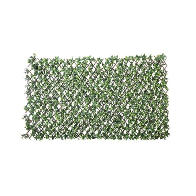 รั้วต้นไม้ รุ่น ลานี่ 100 x 200 ซม. - สีเขียว