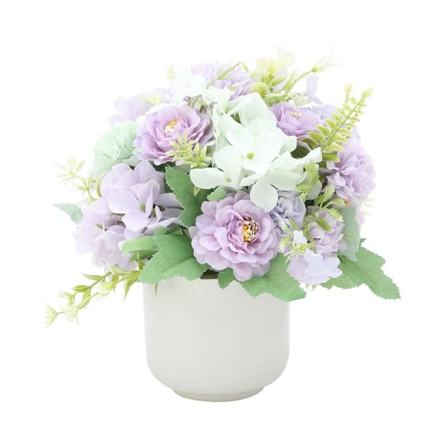 มัมไฮเดนเยียในกระถางเซรามิก รุ่นไอมี่ - สีม่วง