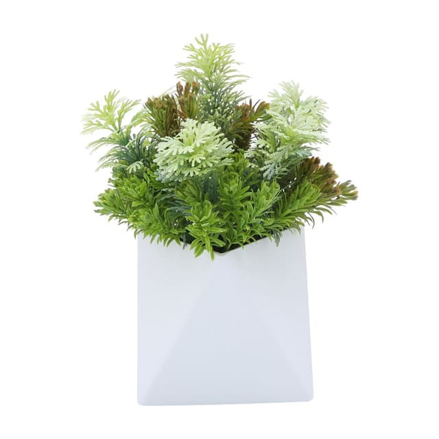 ต้นไม้ในกระถาง รุ่นไฮดริลลา - สีเขียว/ขาว