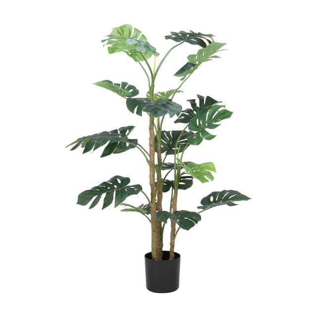 ต้นพลูแฉกในกระถาง รุ่นญาญ่า สูง 160 ซม. - สีเขียว