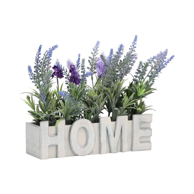 ลาเวนเดอร์ในกระถาง รุ่นลาเวนาร์ - สีม่วง/ขาว