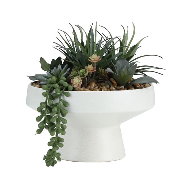 พืชอวบน้ำในกระถาง รุ่นอาร์ย่า - สีเขียว/ขาว