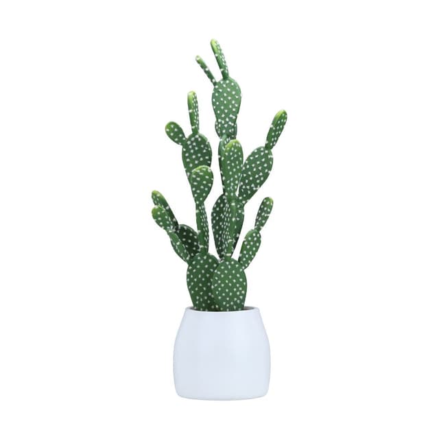 ต้นกระบองเพชรในกระถาง รุ่นมิคกี้ - สีเขียว/ขาว