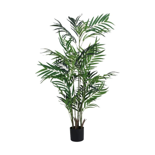 ต้นปาล์มในกระถาง รุ่นปาล์มมี่ - สีเขียว