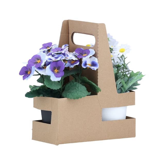 ดอกไม้ในกระถางพร้อมกล่องกระดาษ รุ่นโฟลวิน่า - คละสี