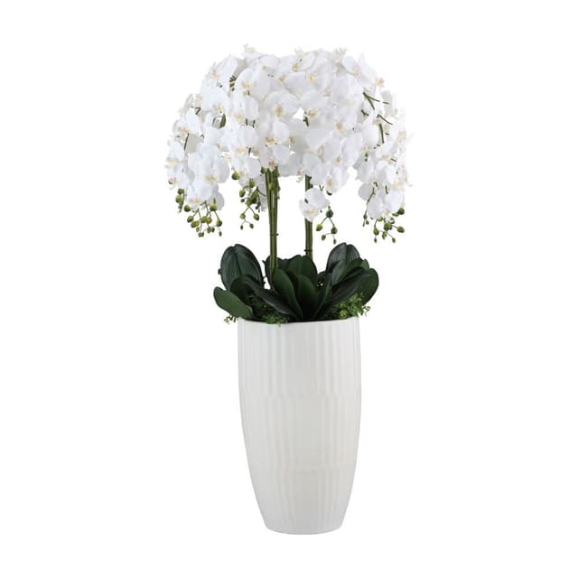 กล้วยไม้ในกระถาง รุ่นบลูม่า ขนาด 70 x 172 ซม. - สีขาว