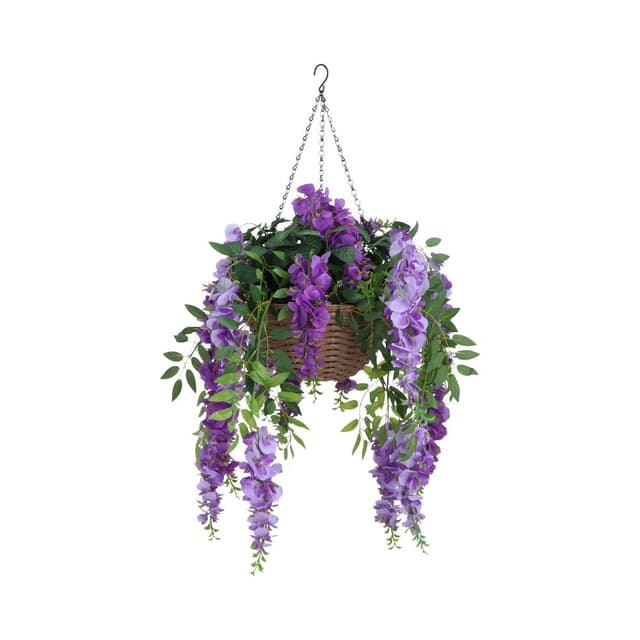 ดอกวิสทีเรียในกระถางแขวน รุ่นวิสตี้ - สีม่วง/เขียว