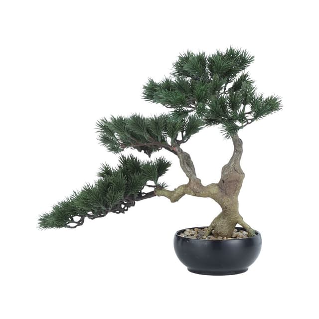 บอนไซสนในกระถาง รุ่นบอนซี่ สูง 40 ซม. - สีเขียว/ดำ