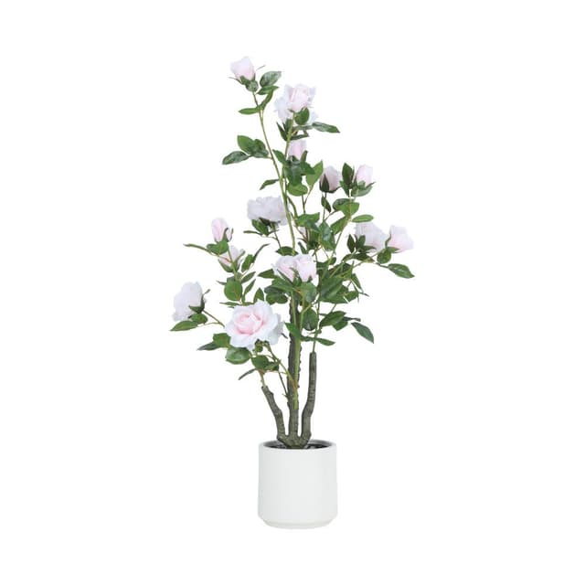 ต้นกุหลาบในกระถาง รุ่นโรซาเลีย สูง 105 ซม. - สีชมพูอ่อน/ขาว