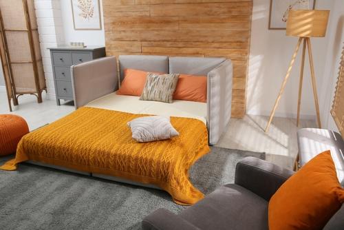 guide-to-buy-sofa-bed Image Link